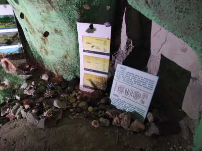 Wakacyjna AktywAKCJA z Domem Kultury